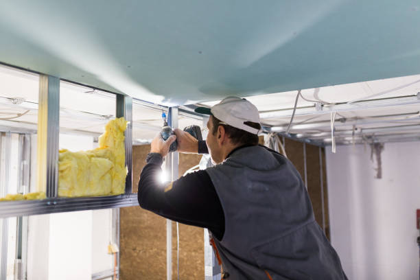 Best Affordable Insulation Services  in Clifton Forge, VA