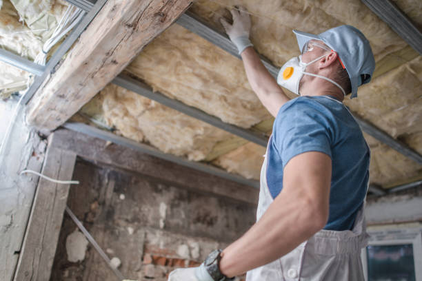 Best Wall Insulation Contractor  in Clifton Forge, VA