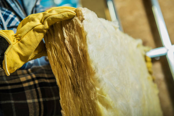 Best Cellulose Insulation  in Clifton Forge, VA