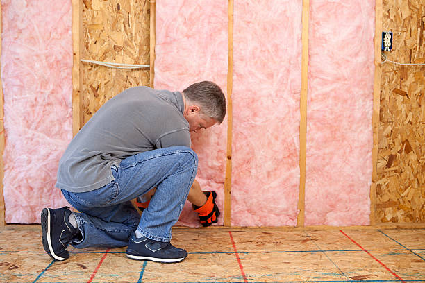 Best Best Insulation Companies  in Clifton Forge, VA