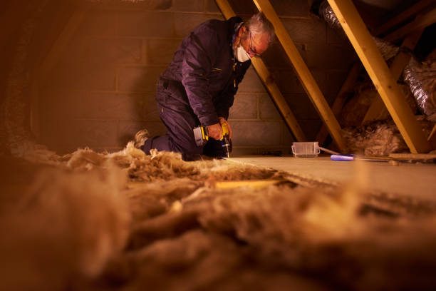 Best Insulation for New Construction  in Clifton Forge, VA